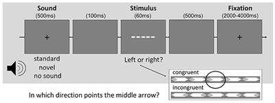 Neural Mechanisms Underlying the Effects of Novel Sounds on Task Performance in Children With and Without ADHD